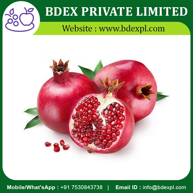 Best Quality Fresh Pomegranate Fruits Available At Wholesale Price