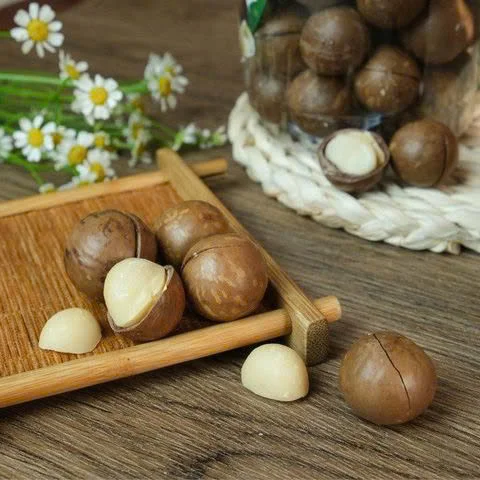 ROASTED MACADAMIA NUTS / DELICIOUSLY NUTTY and CRISP / MADE in VIETNAM