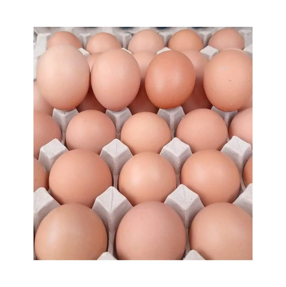 High Quality Factory Direct Price Farm Fresh Brown Table Chicken Eggs Supplier Wholesale Fresh Brown Table Eggs Chicken Eggs