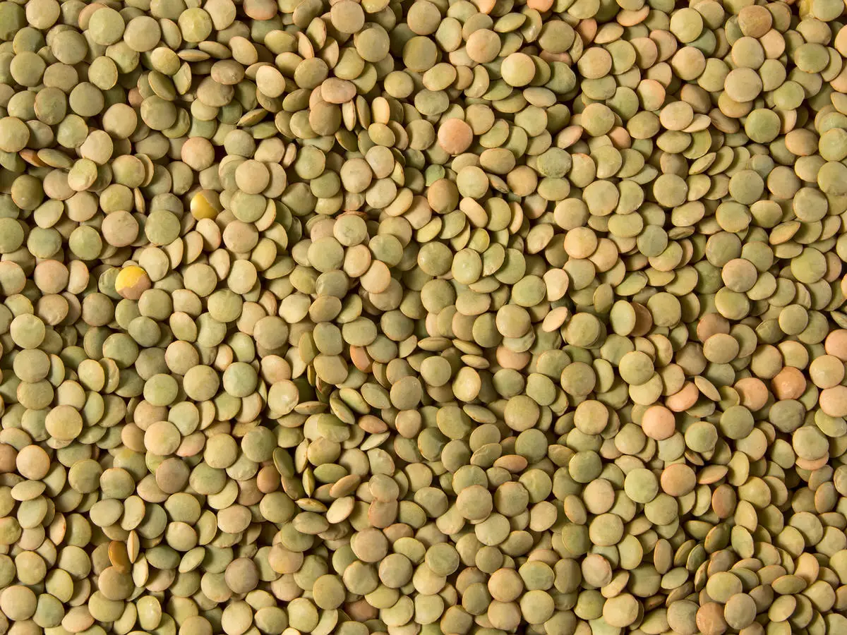 New Crops Red Lentil High Quality Organic Red Lentils in Bulk Max Gift OEM Style