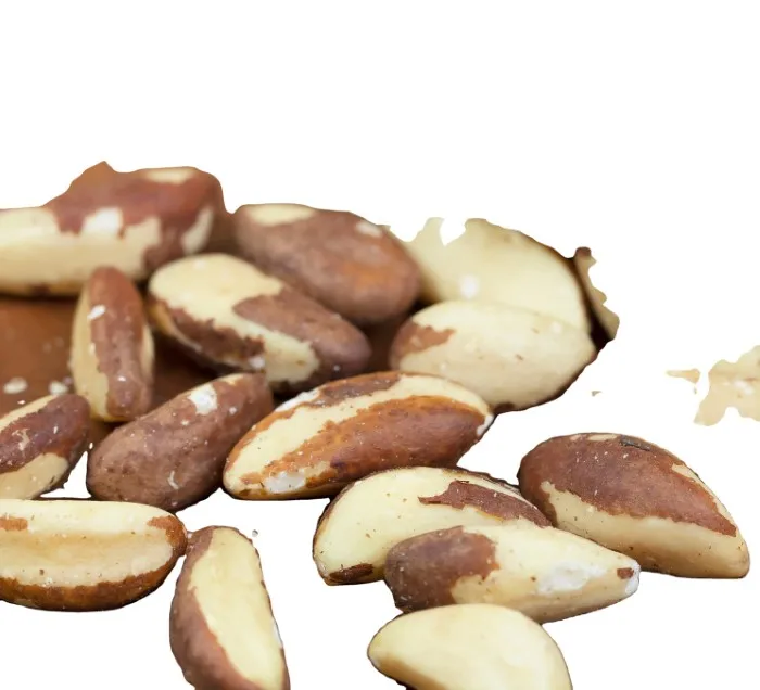High Quality Brazil Nuts Wholesale Natural Peru 100% Pure Raw Premium Brazil Nut Bulk