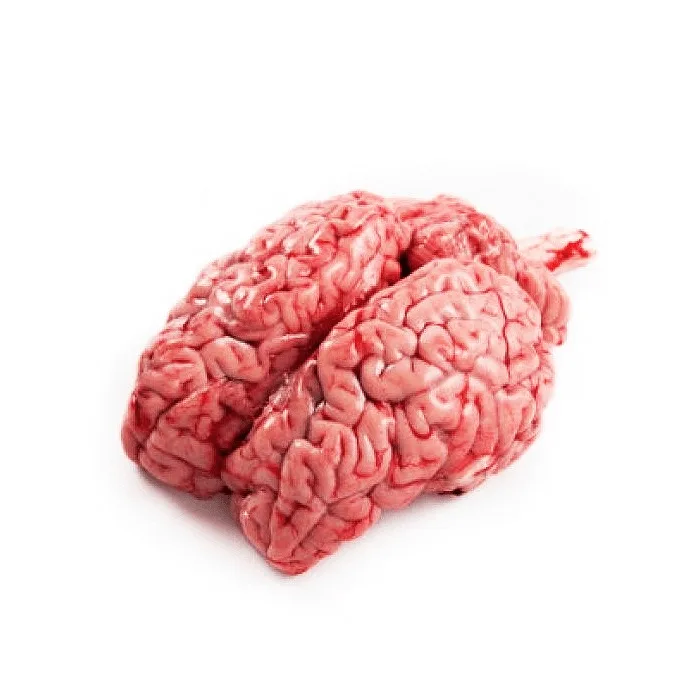 low price Healthy Beef Brain Premium Quality  High Quality Beef Brain Customer Demand Best Price