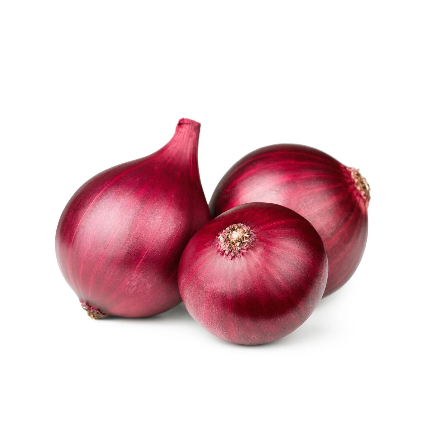 Exporters Big Red Onion Fresh Red Onion