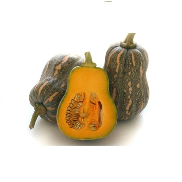High Quality Fresh Pumpkin With The Best Price in  Wholesale Fruits Market ready to Export Quality
