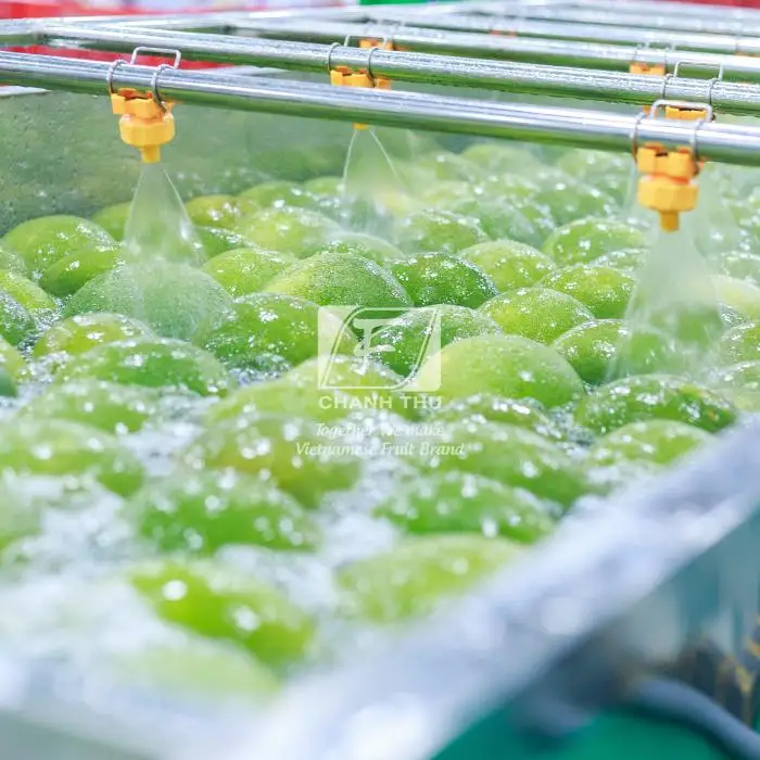 Fresh Pomelo Wholesale Slightly Sour And Less Seed Pomelo Fruit Fresh Pomelo Red/White Meat For Export