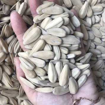 Top Quality A Grade Hybrid Sunflower Seed Best Quality Turkish Sunflower Seeds Organic Sunflower