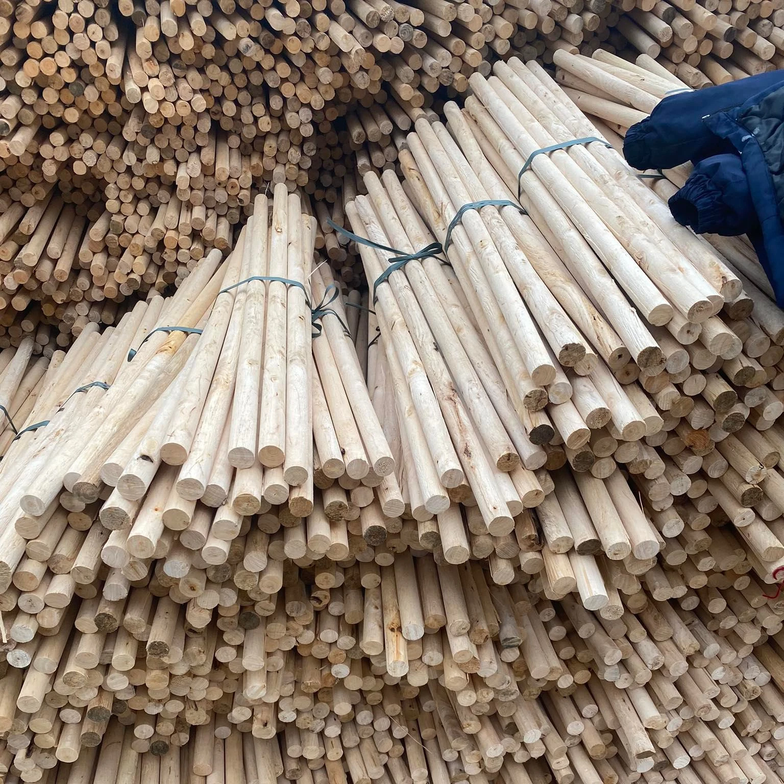 WOODEN BROOM HANDLE/ MOP STICKS WITH  COATING / WOODEN BROOM STICKS