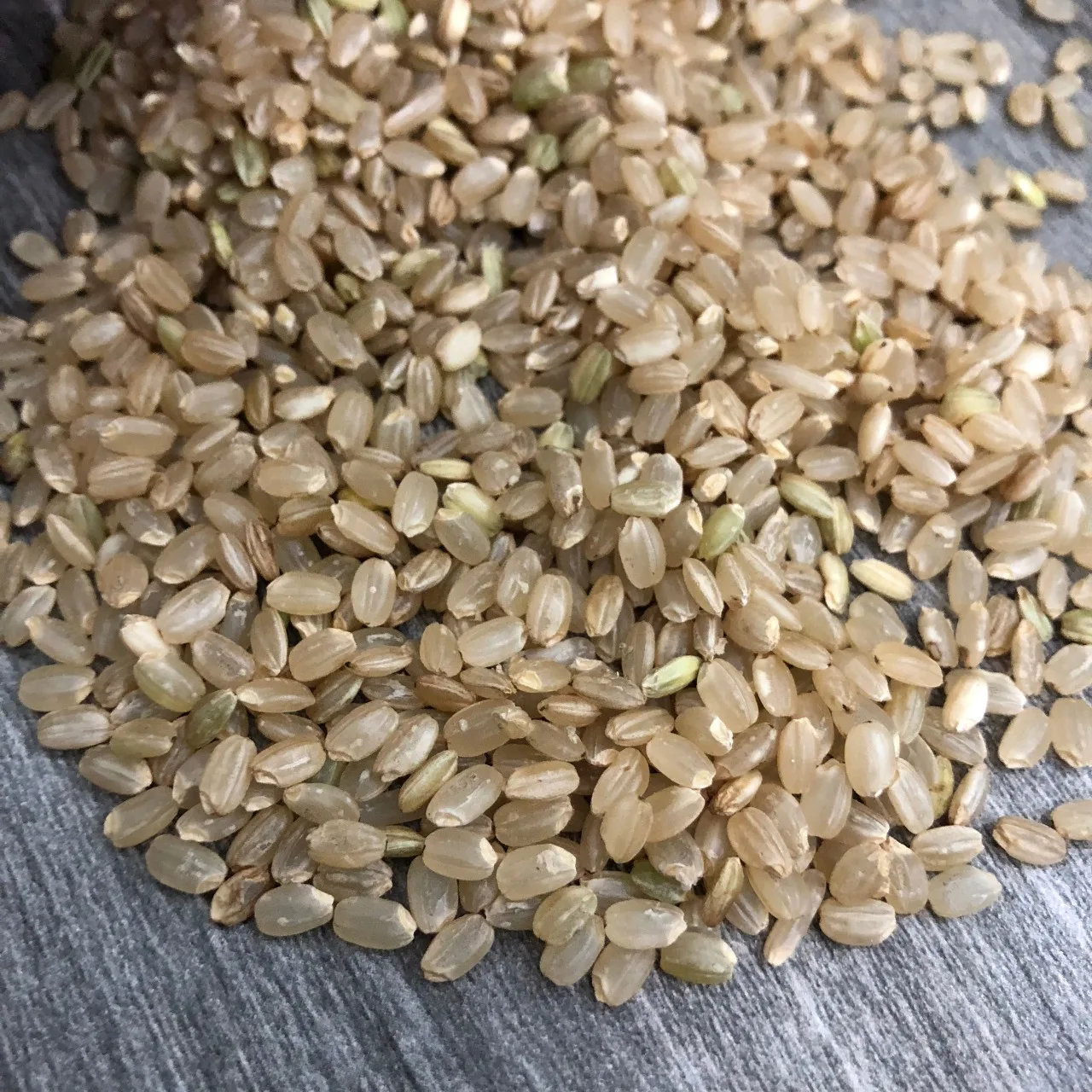 High Quality Vietnam Brown Rice 5% Broken Dried and Soft Texture Origin Vietnam Contact +84398885178 (Jenny Doan)