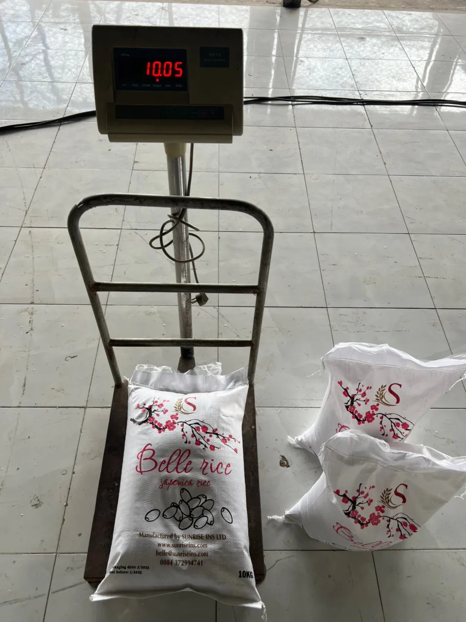 Rice Mills Supply Big Quantity Japanese koshi sushi round rice riso riz reis 2024 - WA:84-975807426 Lucy