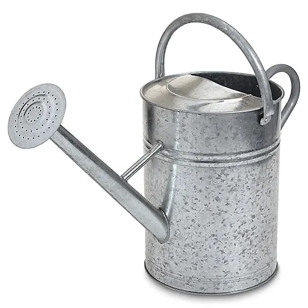 Easy to Use Handle Watering Can Garden Stainless Steel Small Watering Can Galvanized Perfect for Watering Plants and Flowers