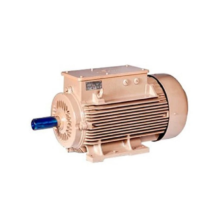Online Best Buy Durable Design IP 55 Rated Crane Duty Motor With 12 Months Warranty At Factory Price