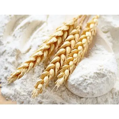 White Flour for all purpose wheat flour in 25kg 50kg bags for sale price, cheap wheat