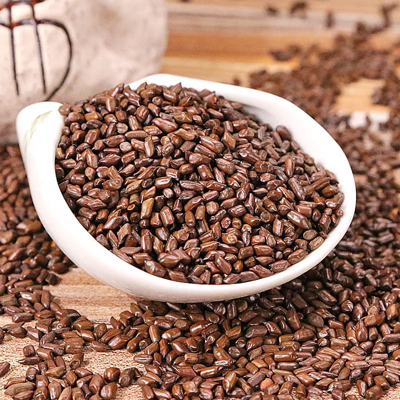 China Single spices supplier Wholesales 2023 new crop top quality cassia seeds healthy food cassia seed tea herb tea senna seeds