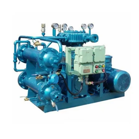 High Quality Oil-Free Piston Natural Gas co2 compressor Hydrogen Compressor biogas compressor for Industrial