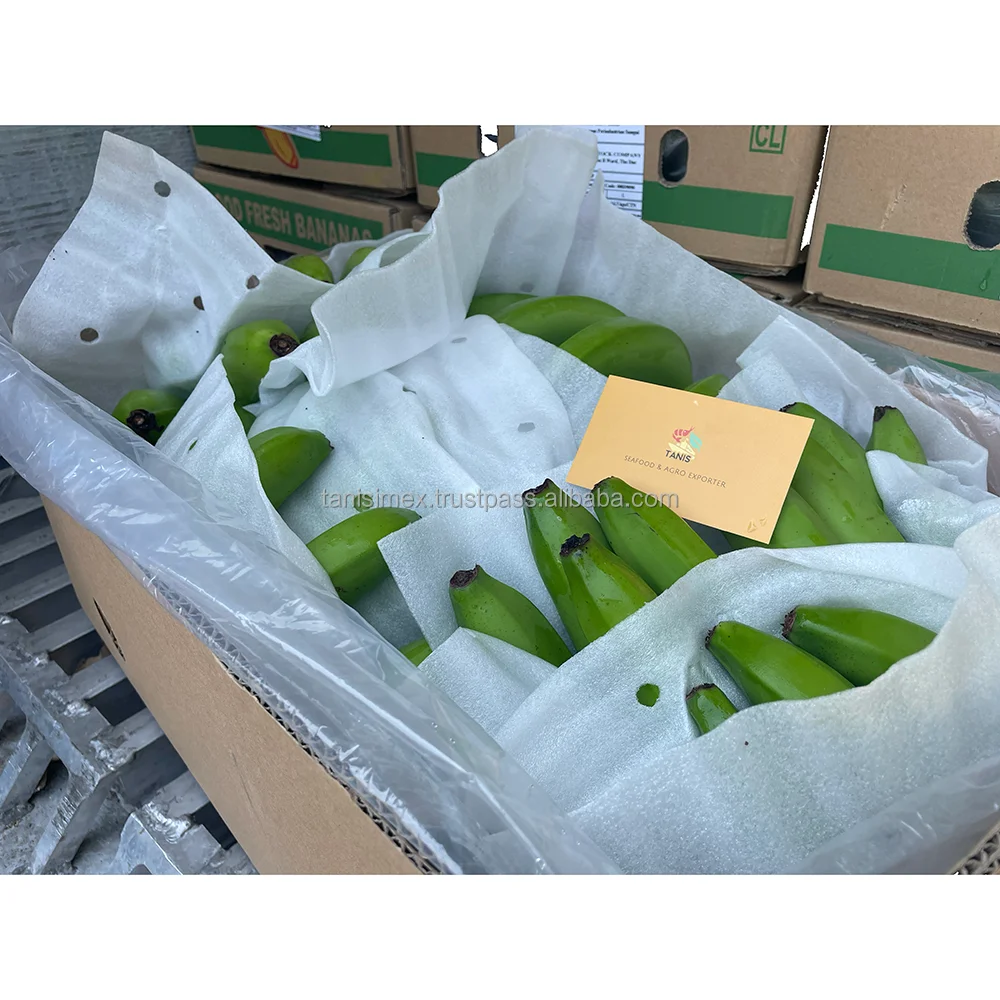 Экспорт бананов Cavendish: Высококачественная продукция для