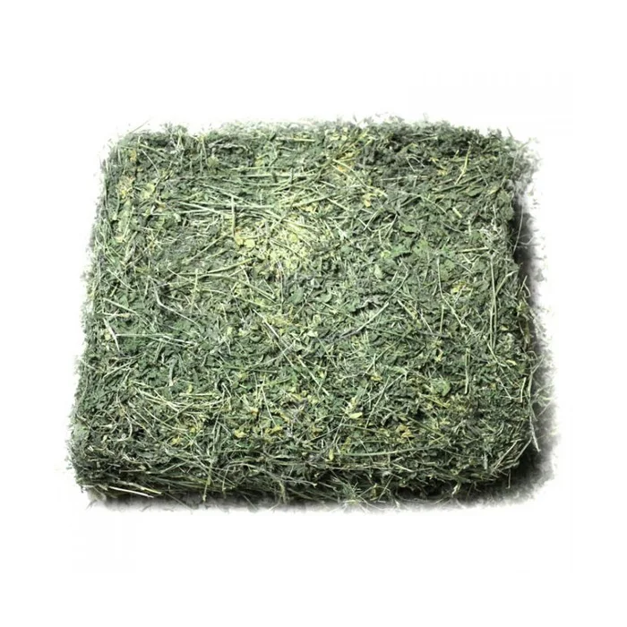 Top Quality Alfafa Hay for Animal Feeding Stuff Alfalfa / Alfalfa Hay