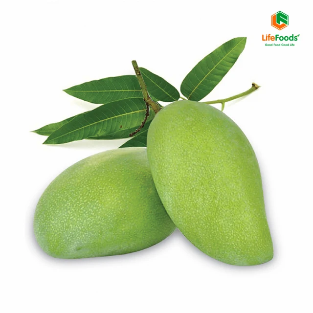 Storage cool reasonable place life price package shelf origin fresh mangos Fresh Hoa Loc Mango Lifefoods from Vietnam