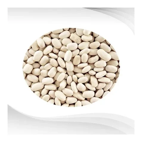 Wholesale Supplier Of Bulk Fresh Stock of Organic Dried White Kidney Beans
