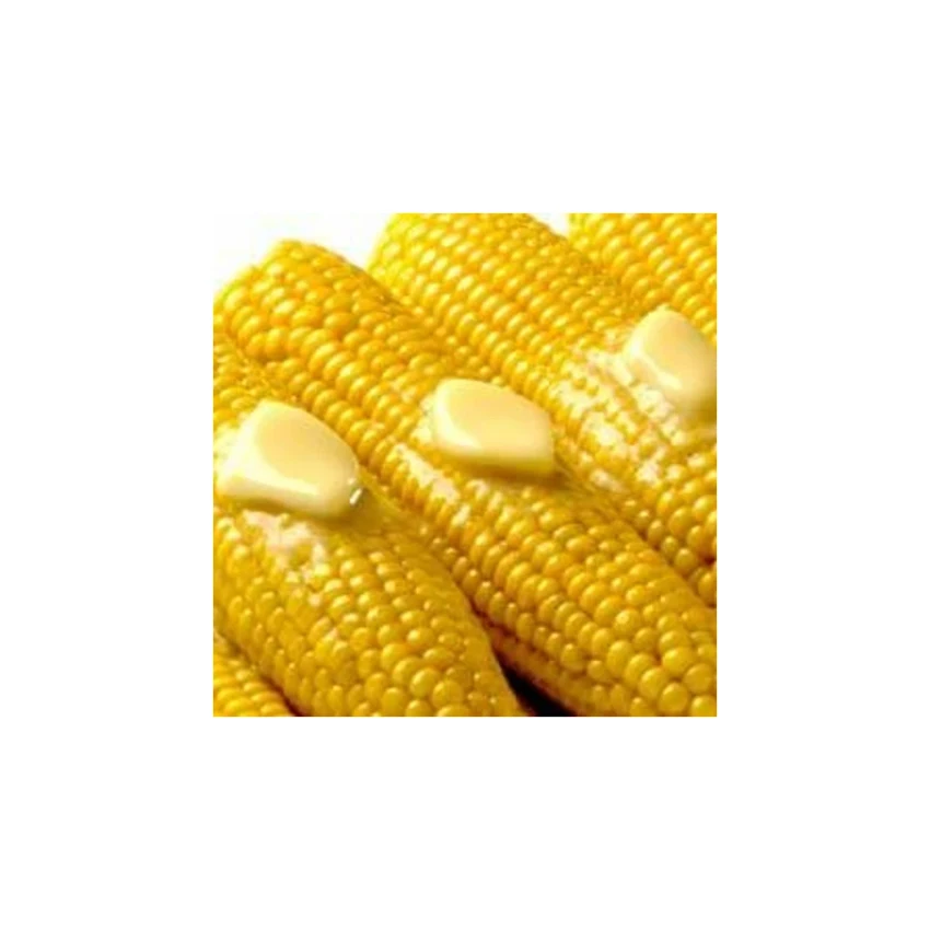 New Crop Yellow Corn Maize For Human And Animal Feed Grade Consumption Yellow Corn For Poultry Feed