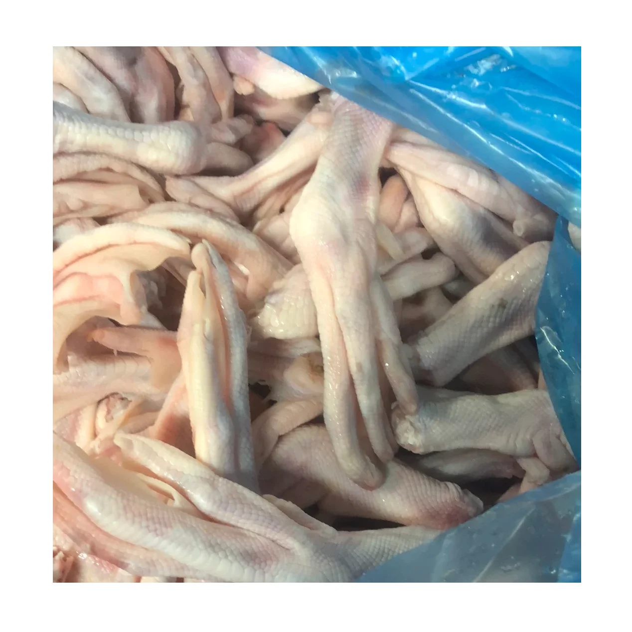 Buy Frozen duck feet / Duck Paw / duck legs At Best Price