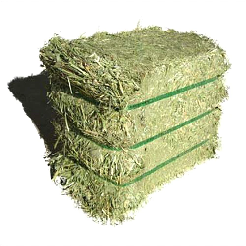 Quality Animal Feed Alfafa Hay for Animal Feeding Stuff Alfalfa