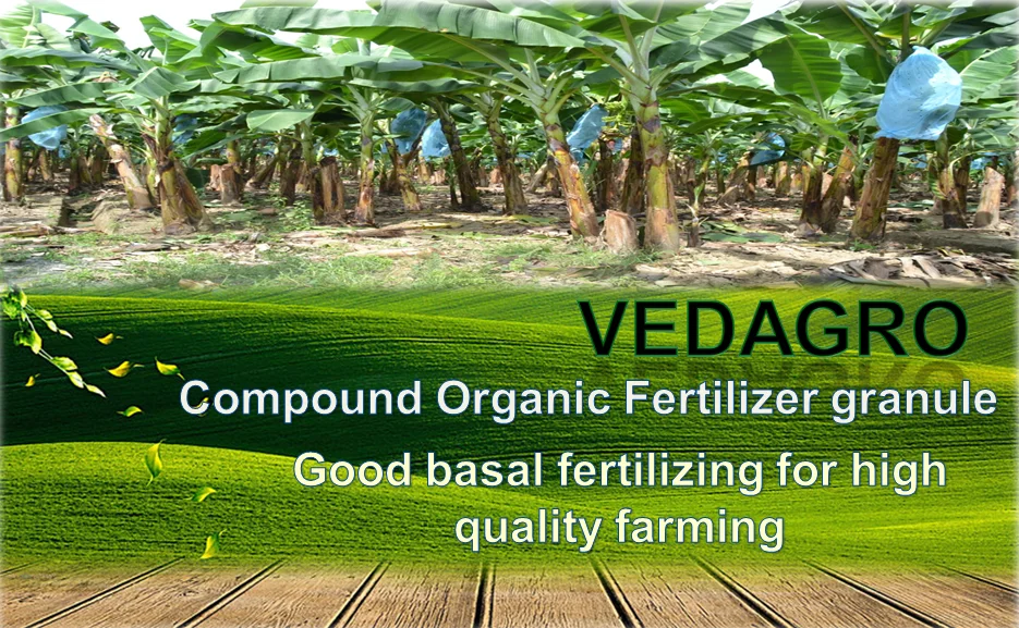 AF1-Mg- FOLIAR INORGANIC FERTILIZER LIQUID