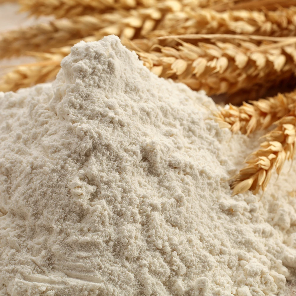 Quality 100% Organic Wheat / Wheat Grain