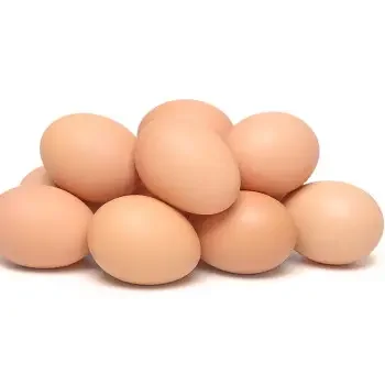 High Quality Fresh Table Eggs and Non - Fertile Eggs Cheap Price With Best Custom Packing products