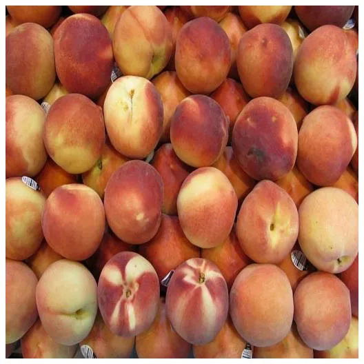 First Class Quality Nectarine Peach at Best Price Best Quality Organic Natural Peach Fresh Fruit For Sales