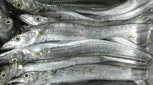 Frozen Ribbon Fish Export Quality Nutritious Organic Seafood Supplier Whole Round Healthy Full of Protein Fish