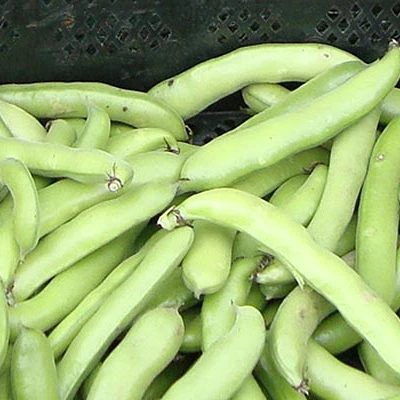 Гуаровая камедь
