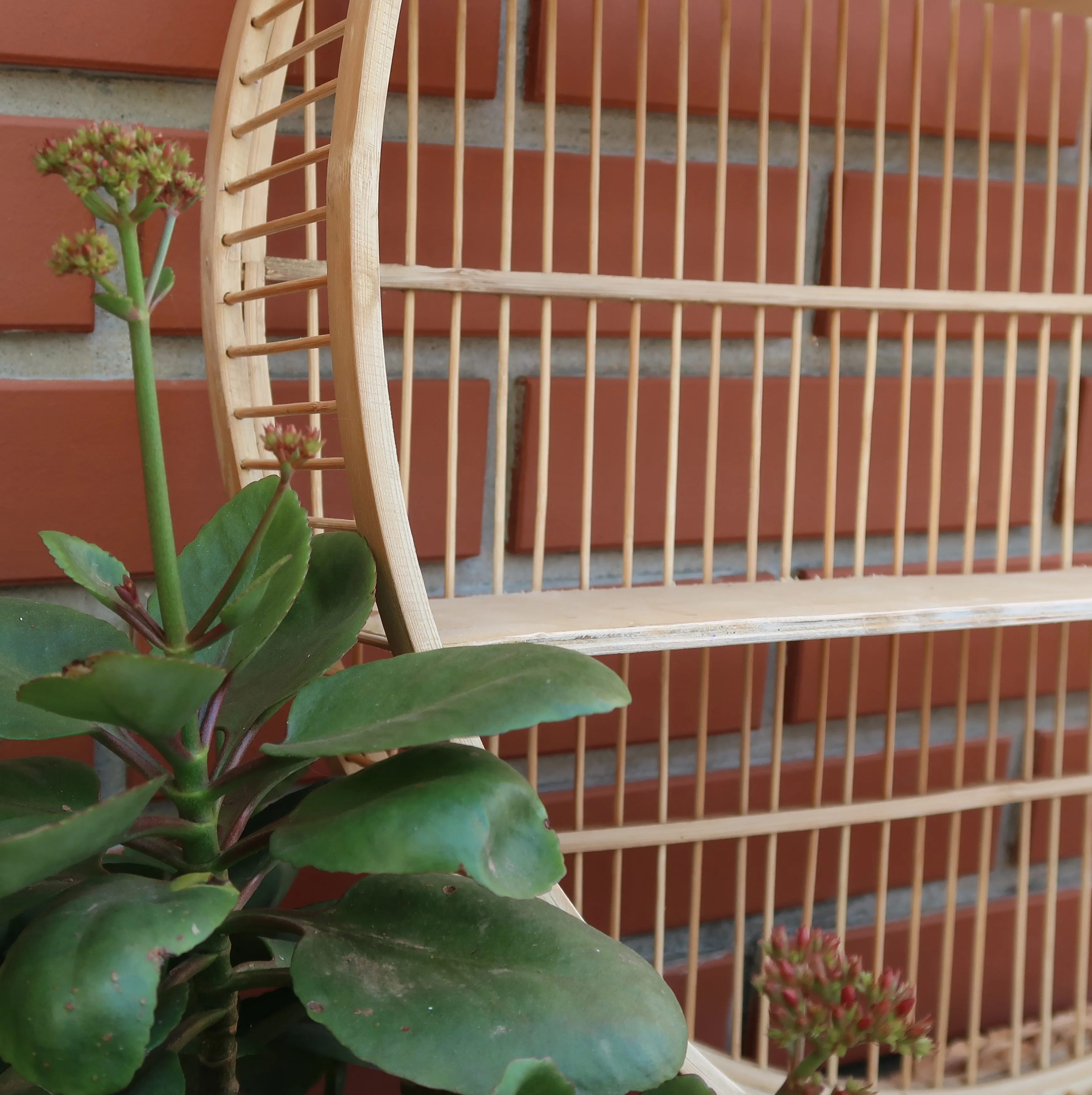 2024 Wall selling natural rattan 2-tier round wall shelf, ideal for storage and creating a cozy atmosphere made in Vietnam