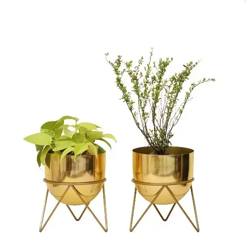 Export Quality Decorative Metal Flower Pot with Drainage Holes Ideal for Healthy Plant Growth in Any Environment from India