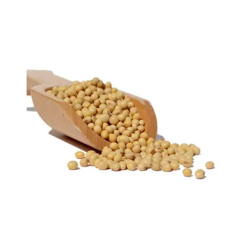Non Gmo Soybeans / Soya Beans Soy bean Seeds and Soya bean Seeds