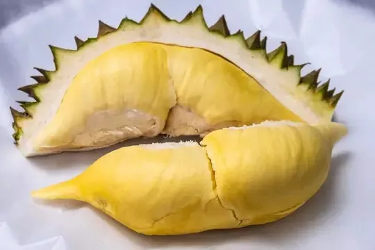 durian fruit musang king durian malaysia