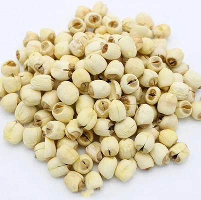Lotus Seeds