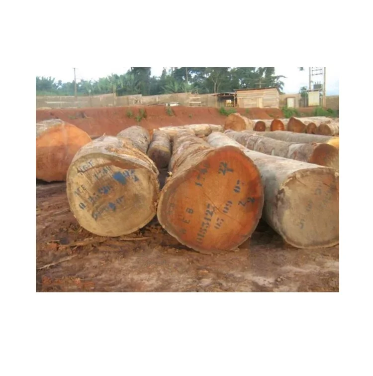 Discount Bubinga Wood Logs Buy in Large Quantities Get the Best Deals on Quality Hardwood for Your Needs