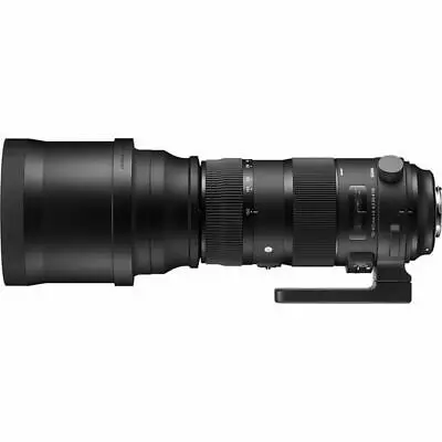 Sigma 150-600mm F5-6.3 DG OS HSM Sport Lens + TC-1401 (N.ikon)