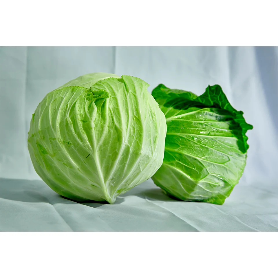 Fresh Vegetables Fresh Cabagle and Tomato  From Wholesale Green Farmer In Vietnam High Quality Nutrition Food