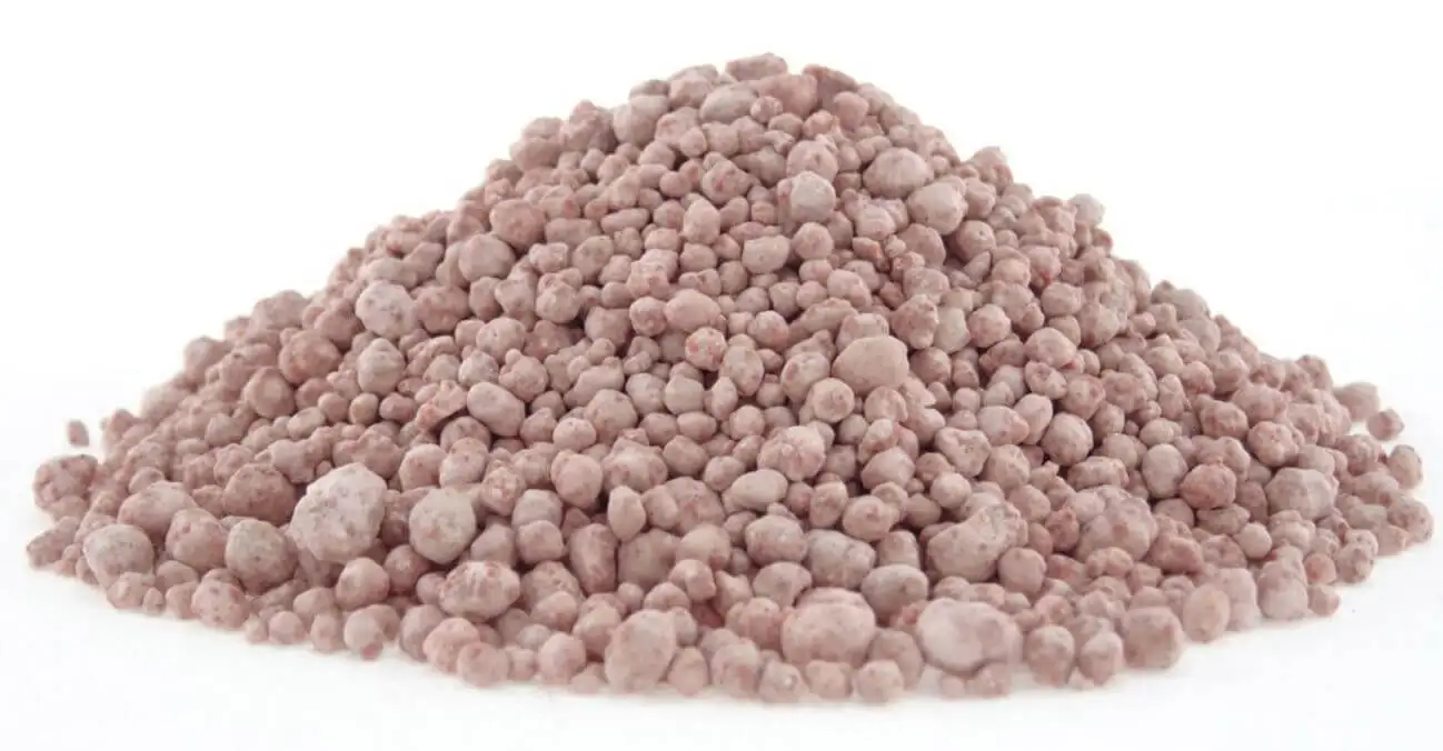 diammonium phosphate for sale