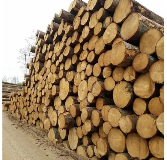 Hardwood timber wood Oak logs, oak wood logs
