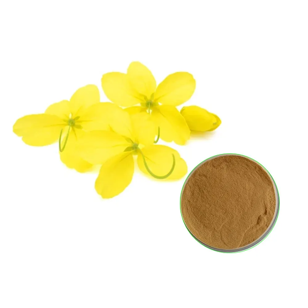 High Quality Amaltash Extract Powder Available Wholesale Price Customization available, Private labeling