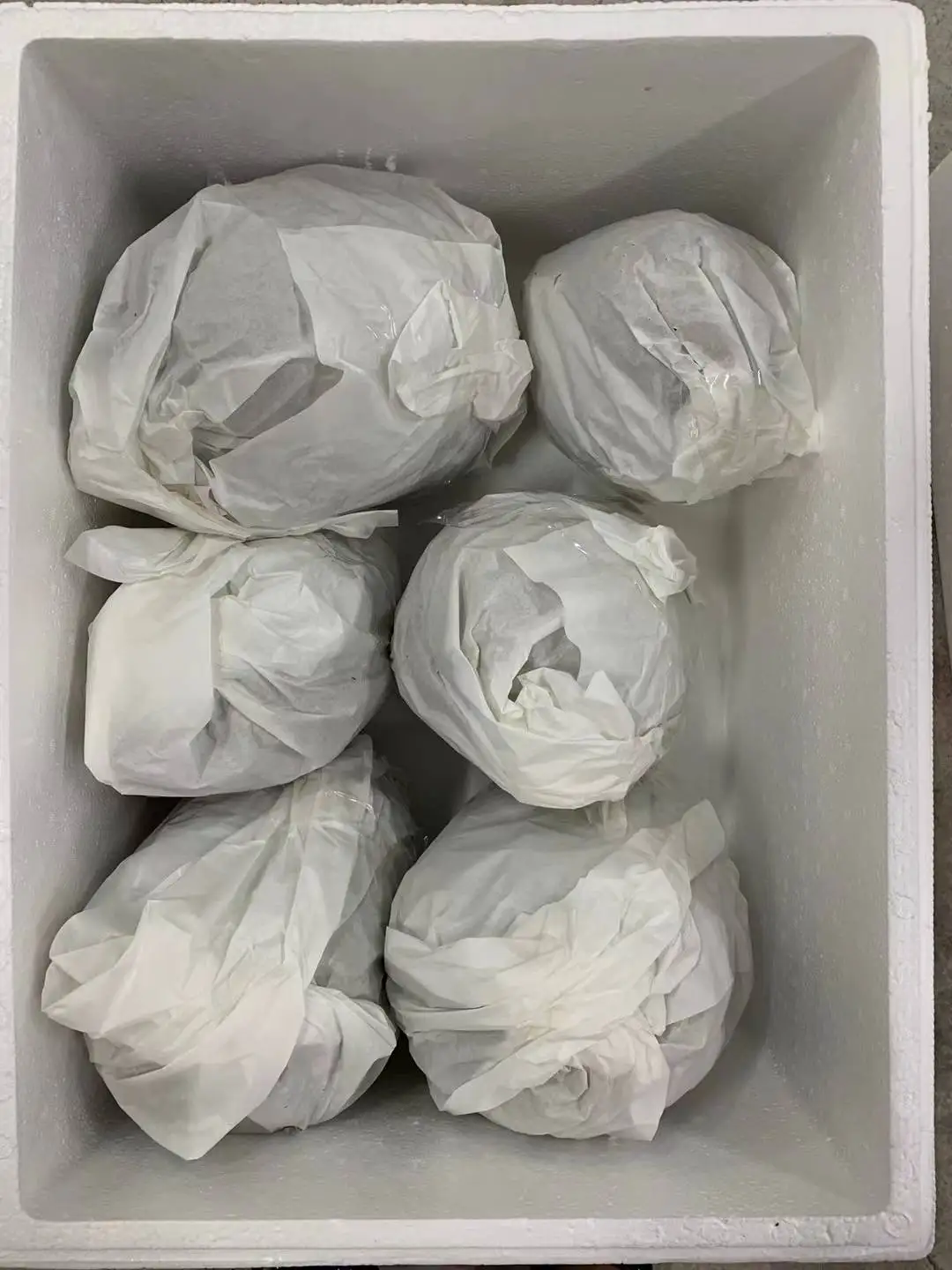 Durian Fresh Fruits Premium From Thailand Fresh Durian Export to New Zealand