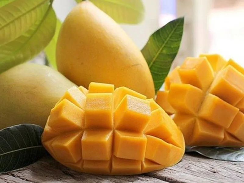 Fresh mango Ripe or young mango Green or yellow organe mango Fresh fruit Tropical fruit Made in Vietnam