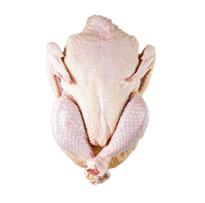 Frozen Chicken Whole Frozen Beef Chicken Fish Meat Whole Cold Frozen Meat Wholesale