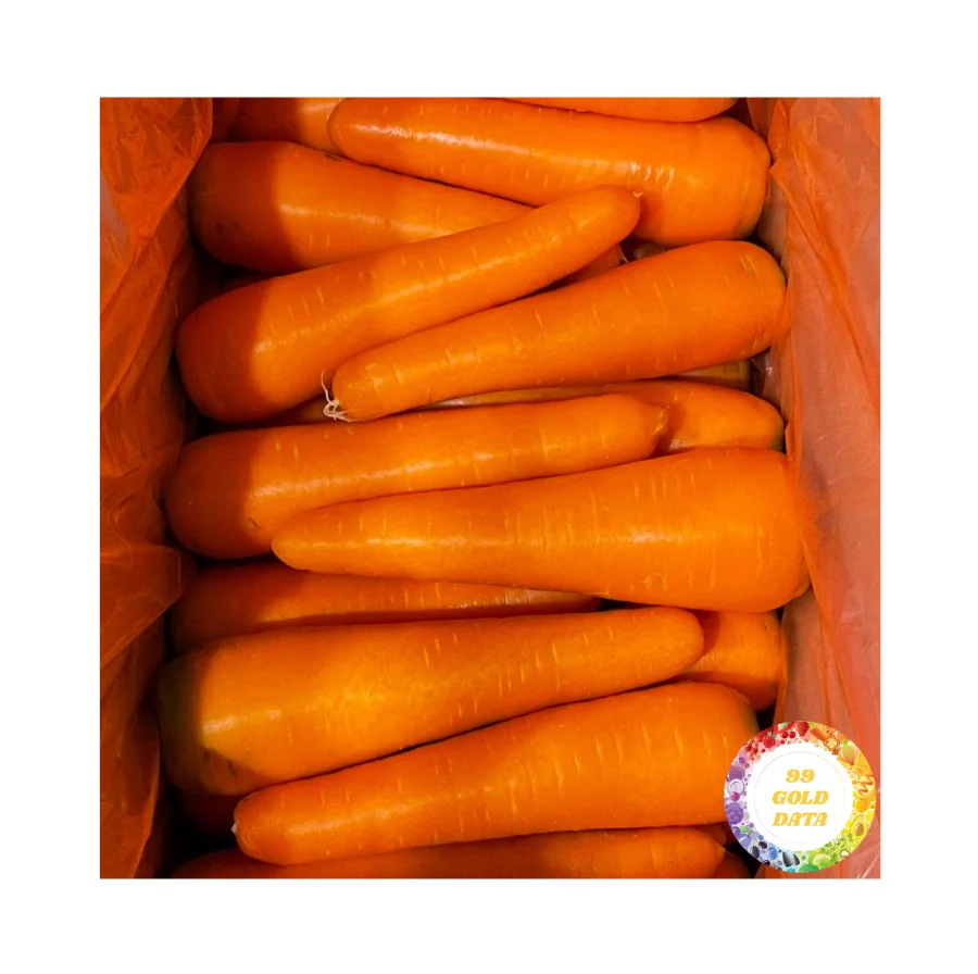Vietnam fresh bulk carrots for sale best quality good price From 99 Gold Data Fresh Vegetables Wholesale Factory Supplier