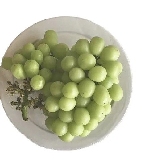 Высококачественный зеленый виноград премиум-класса С ХОРОШИМ содержанием сладкого запаха и вкусом, доступен по оптовой цене от индийского экспортера