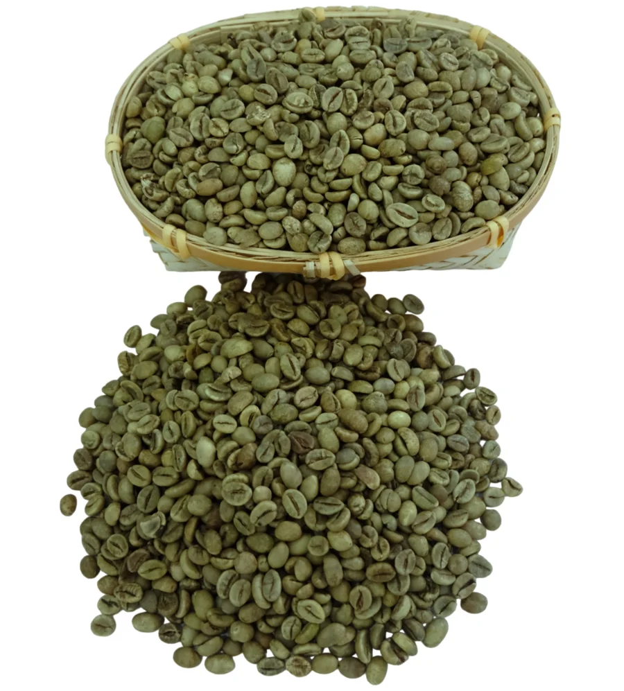 Vietnam Robusta Green Coffee Beans-высококачественный КОФЕ хорошая цена от Loc Nam импортная экспортная компания