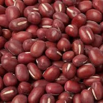 High Quality Dried Adzuki Beans / Azuki Beans