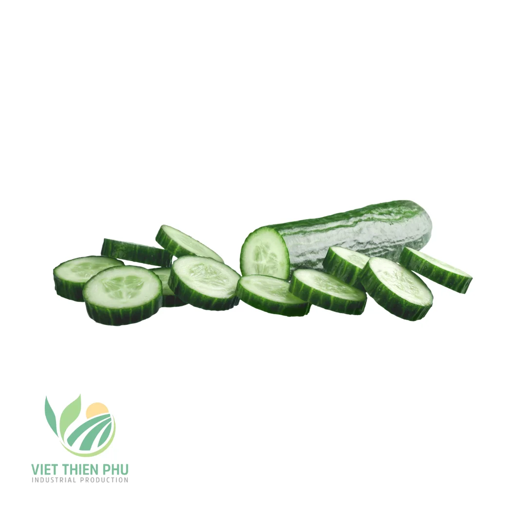 BEST PRICE WITH CUCUMBER WITH 100% NATURAL FROM VIETNAM, AVAILABLE FOR EXPORT